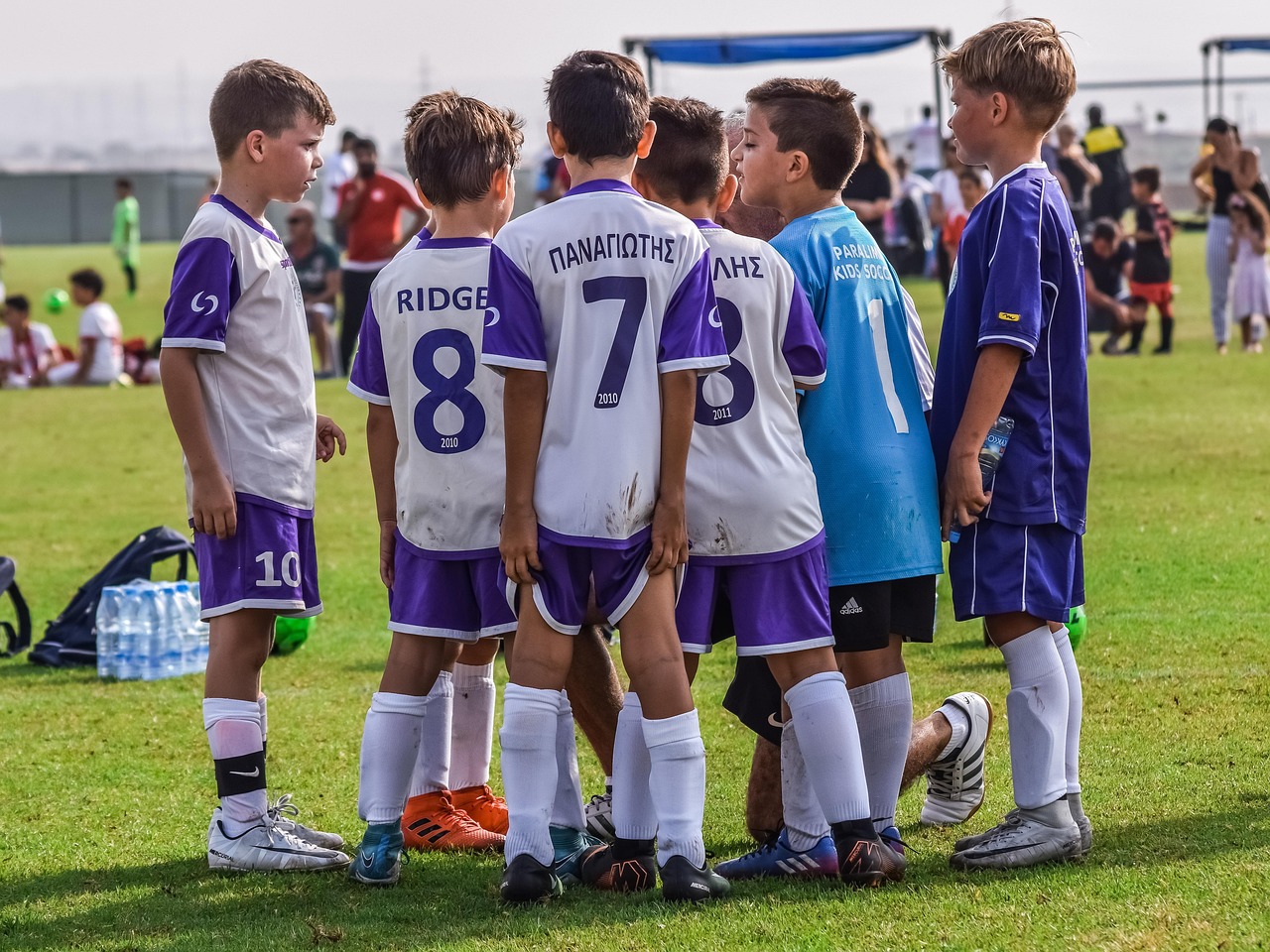 【程序搭建-送服务器】高阶版 | 带按钮-兑币机-USDT兑TRX 星耀剧场