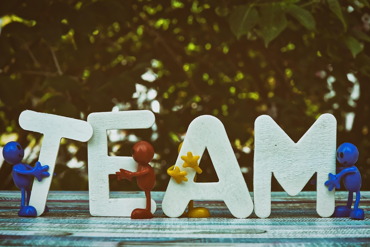 关于技术支持的读者调查