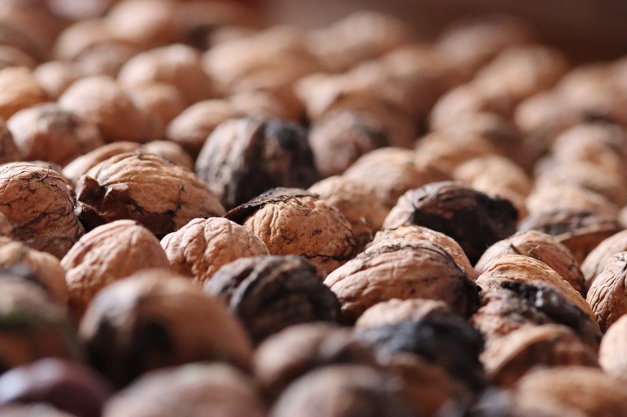 香烟与发展问题