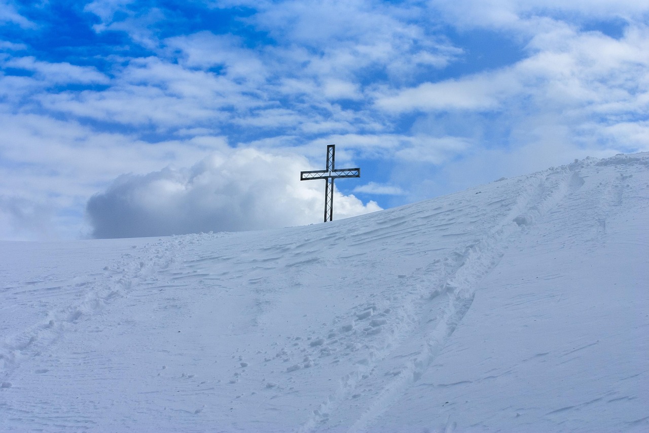京东云实名账号:第三方平台代理合同范本
