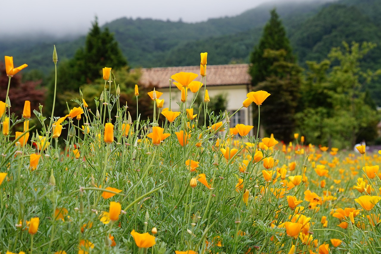 用友通信实名账号:上海母婴公司注册代理记账