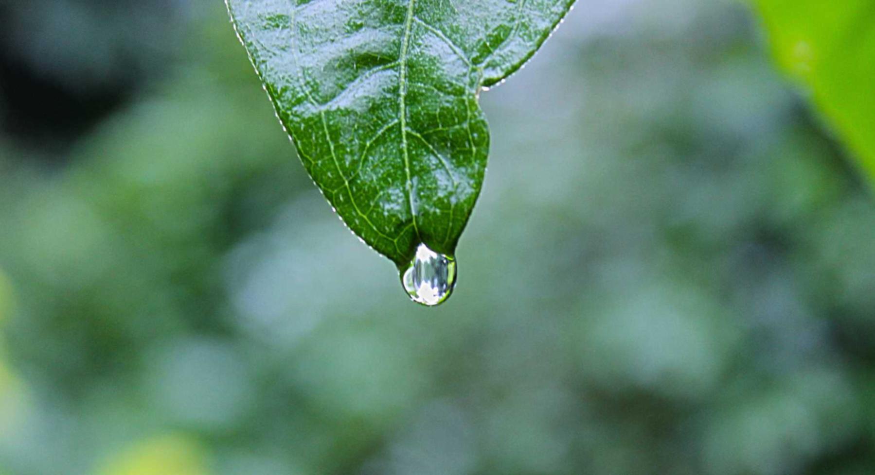 okx欧易实名账号：注册会计代理记账多少钱