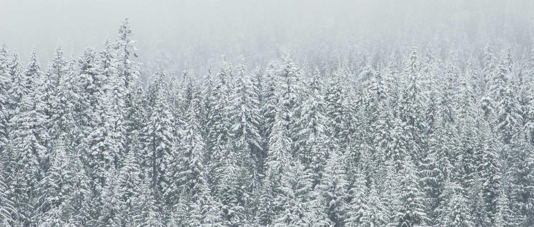 游戏防技术支持技术的发展趋势是什么？