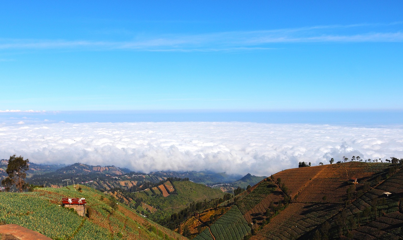 越南555银：襄阳出行手机app详情下载教程