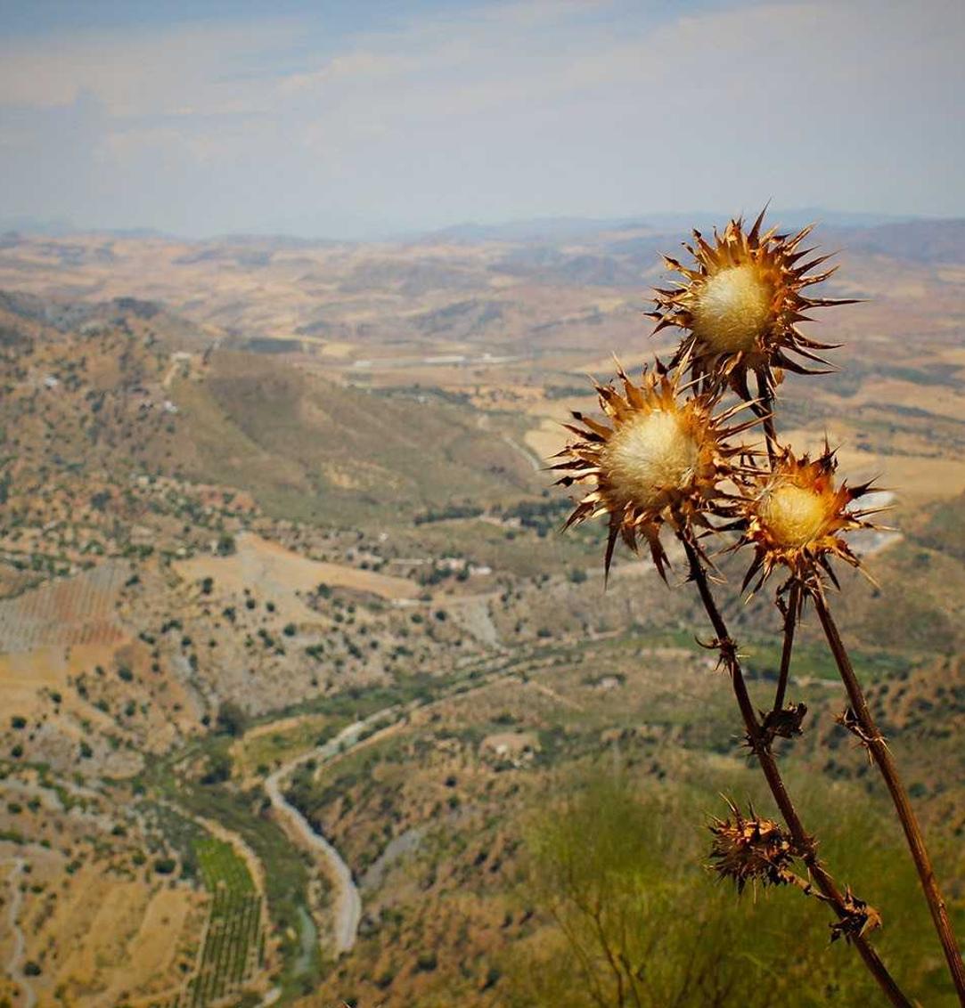拉菲2ps5日版注册账号台湾